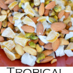 Tropical Trail Mix. This delicious trail mix recipe has dried mango and dried young coconut for a wonderful island recipe! A healthy snack you can make in minutes.