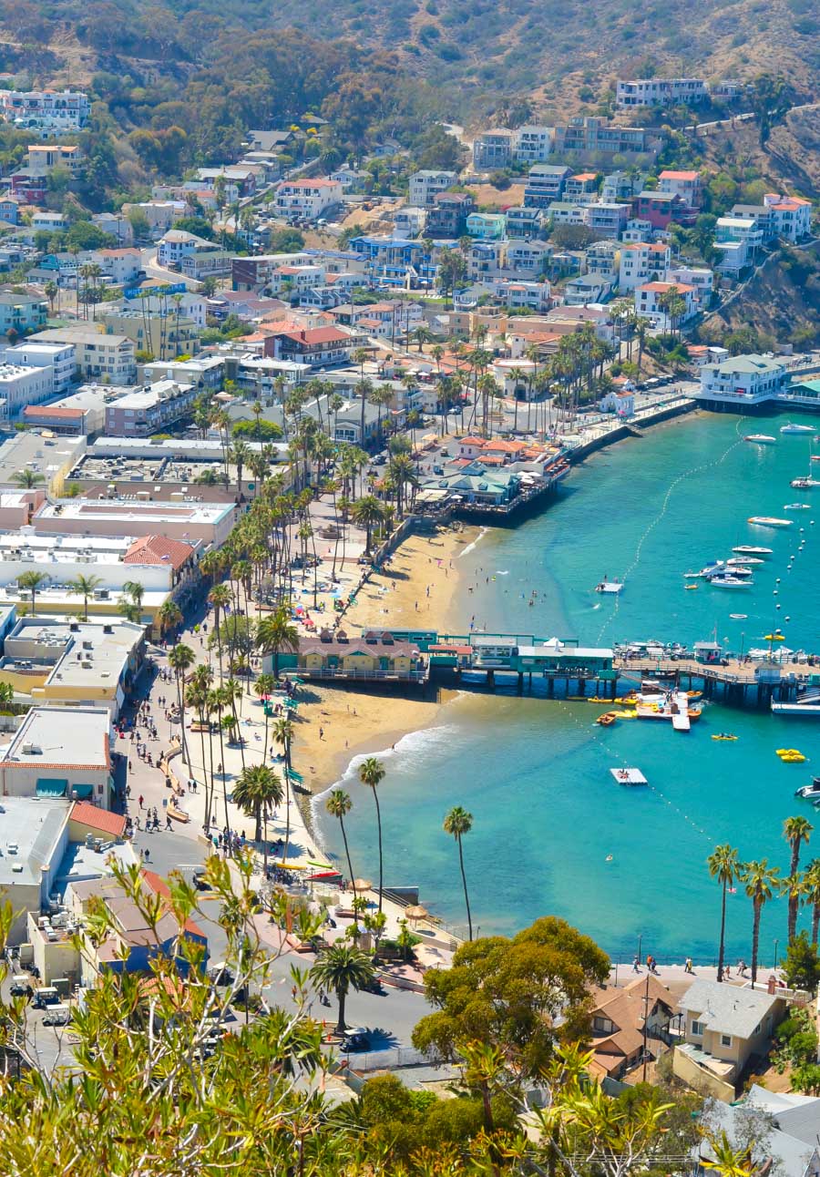 What to Do One Day Trip to Avalon Catalina Island