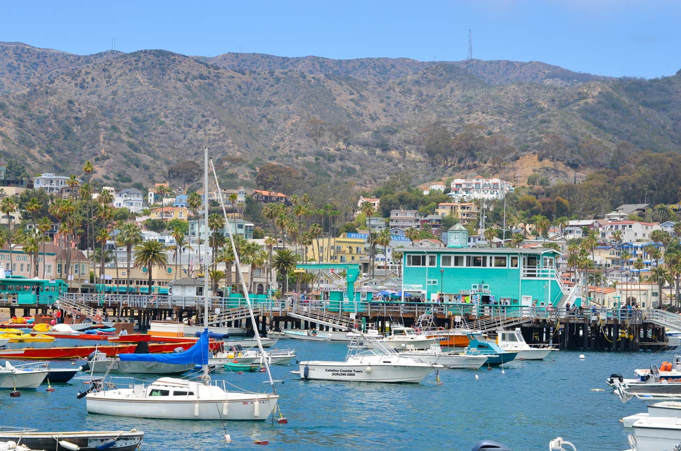 What to Do One Day Trip to Avalon Catalina Island