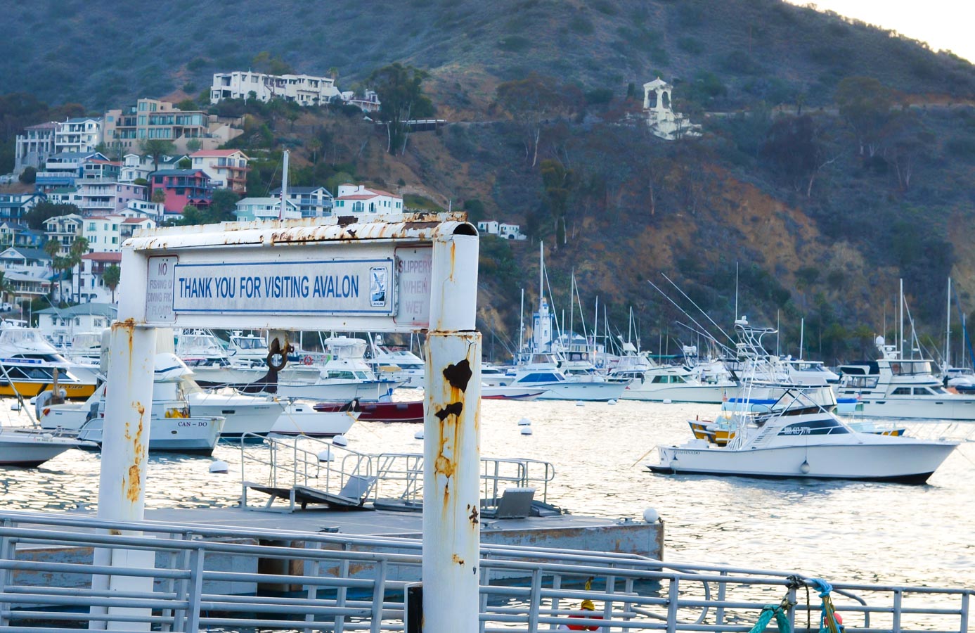 What to Do One Day Trip to Avalon Catalina Island