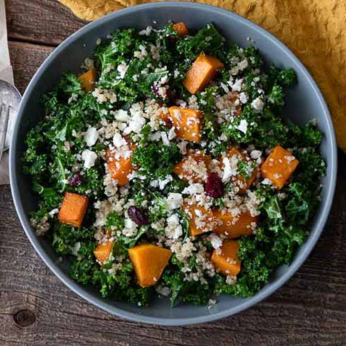 quinoa butternut squash salad