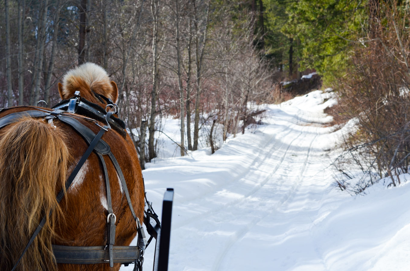 Where to Eat + Stay, What to Do in Leavenworth, Washington