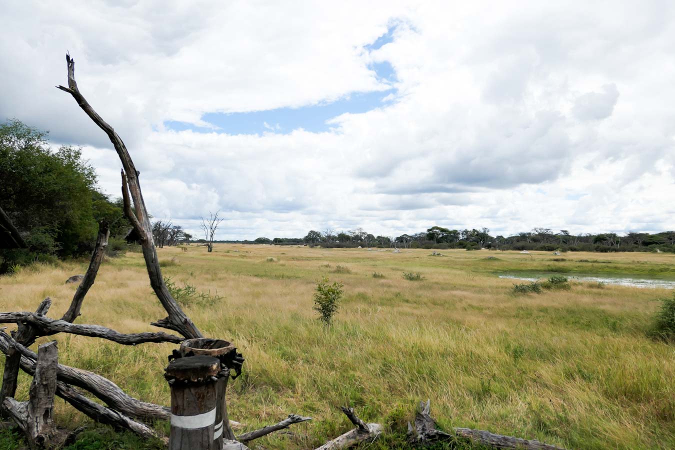 Where to Stay in Hwange National Park - The Hide Photo Review