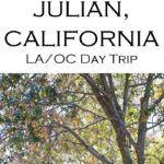 What to Do Julian, California Day Trip from Los Angeles #losangeles #orangecounty #daytrip #southerncalifornia #travelblogger