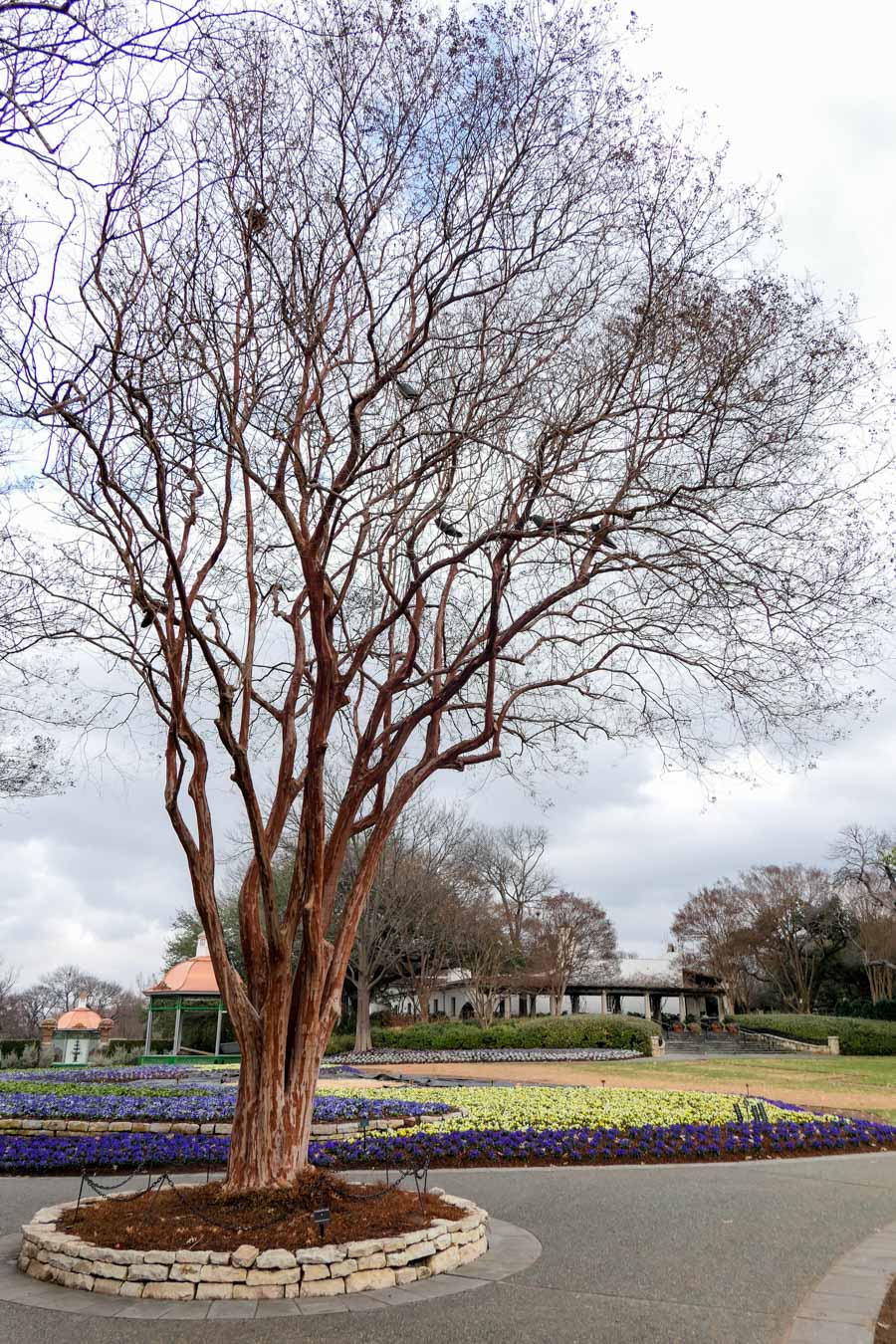 Dallas Arboretum + Botanical Gardens Photos + Review