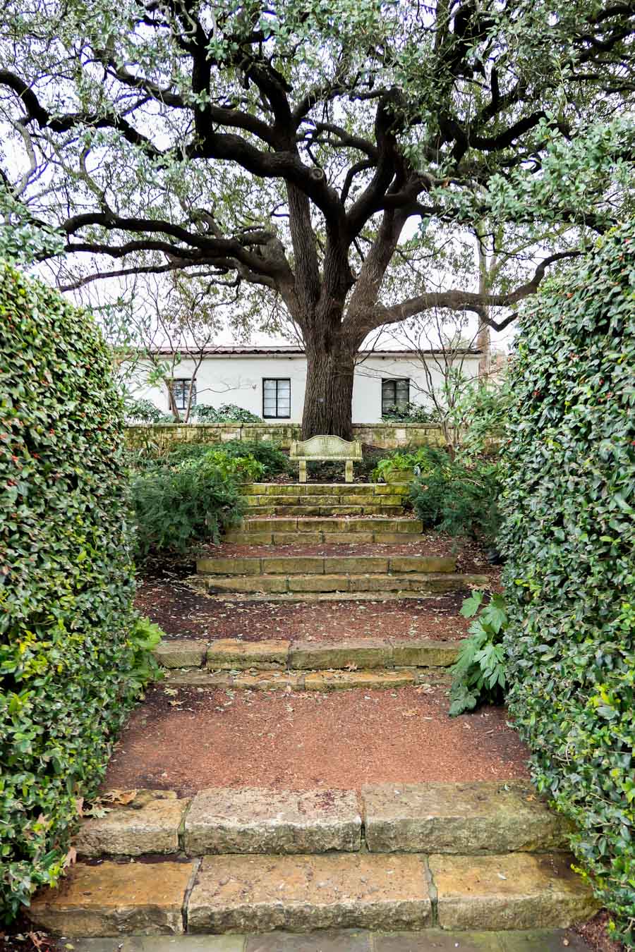 Dallas Arboretum + Botanical Gardens Photos + Review