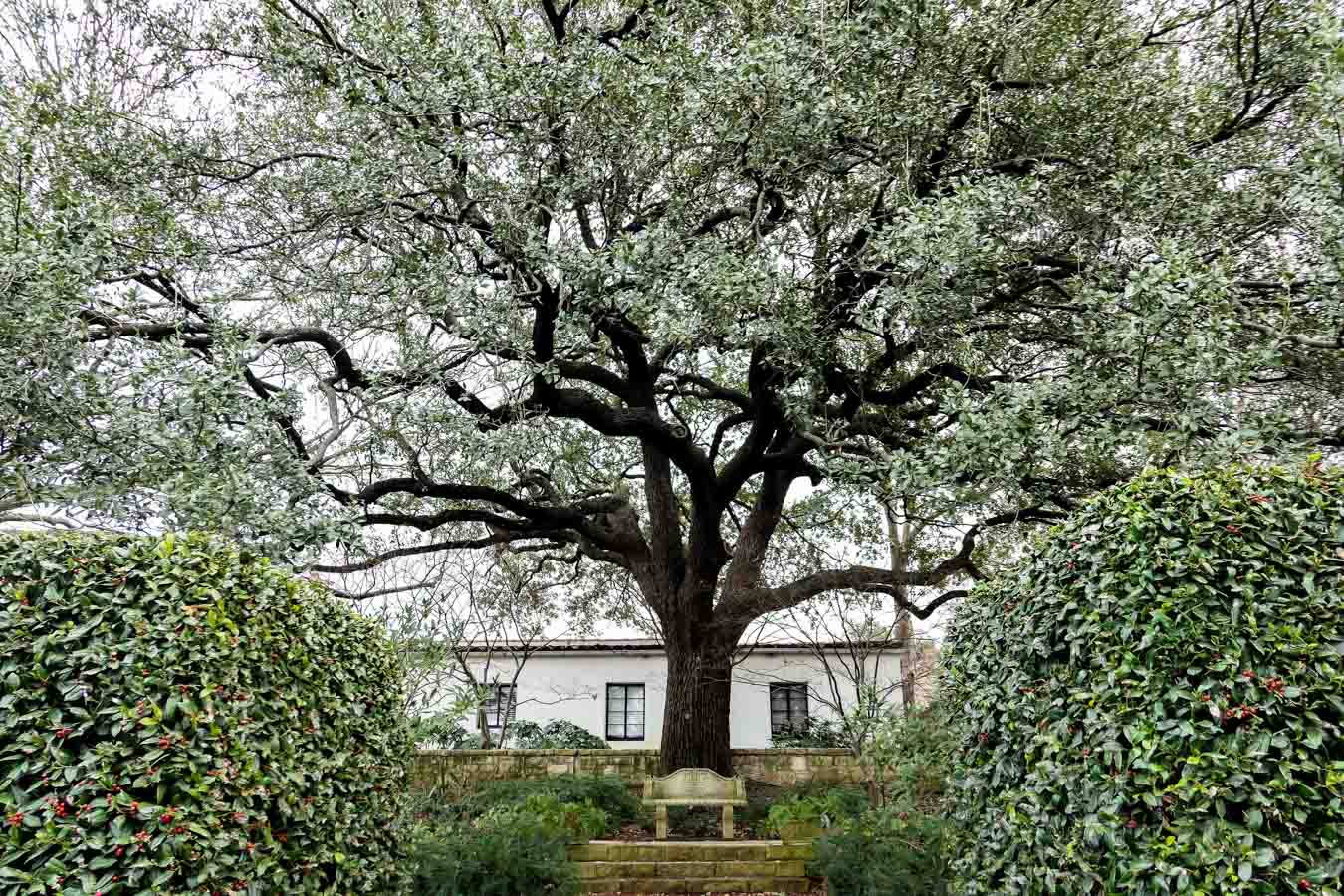 Dallas Arboretum + Botanical Gardens Photos + Review - Women's Garden Bench + Stairs