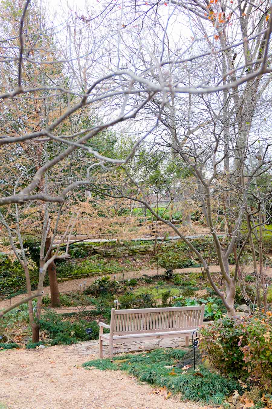 Dallas Arboretum + Botanical Gardens Photos + Review
