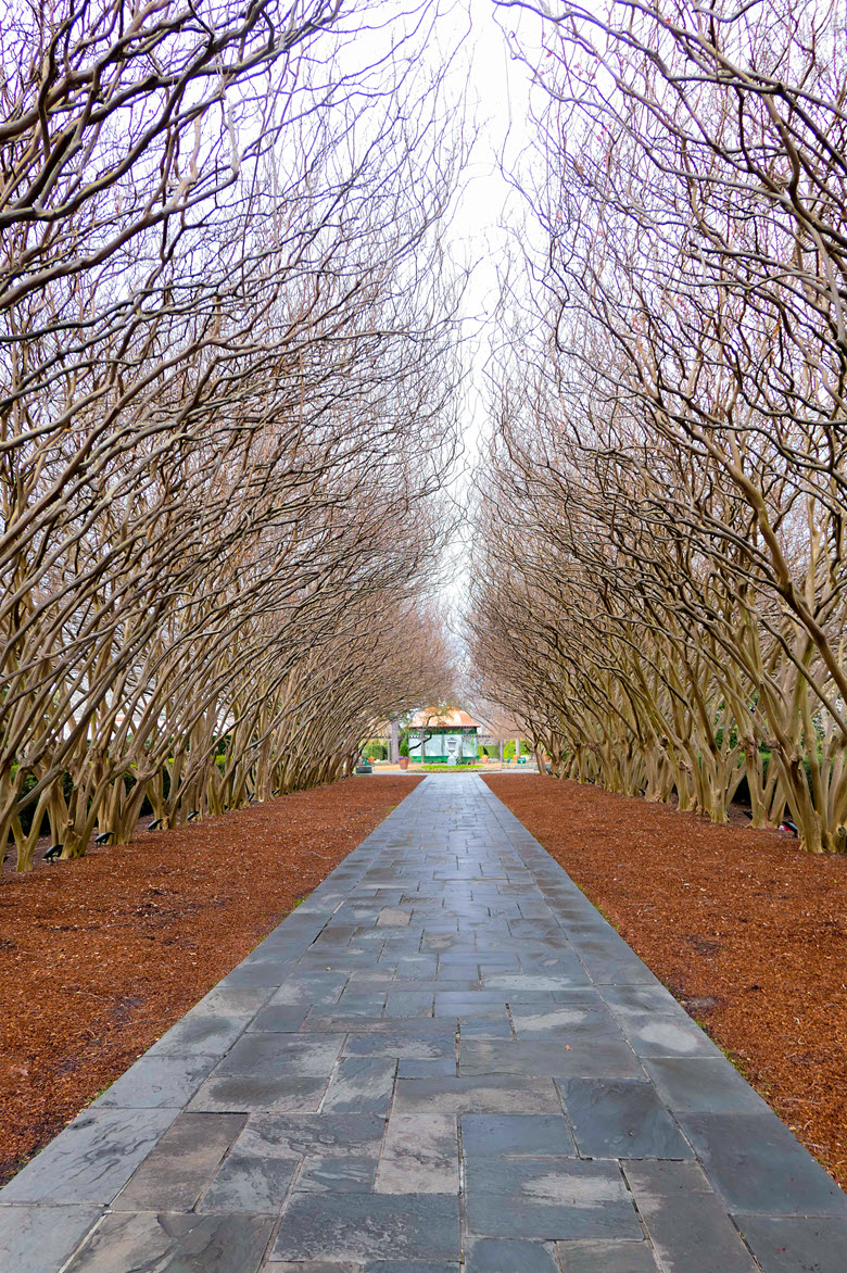 Dallas Arboretum + Botanical Gardens Photos + Review