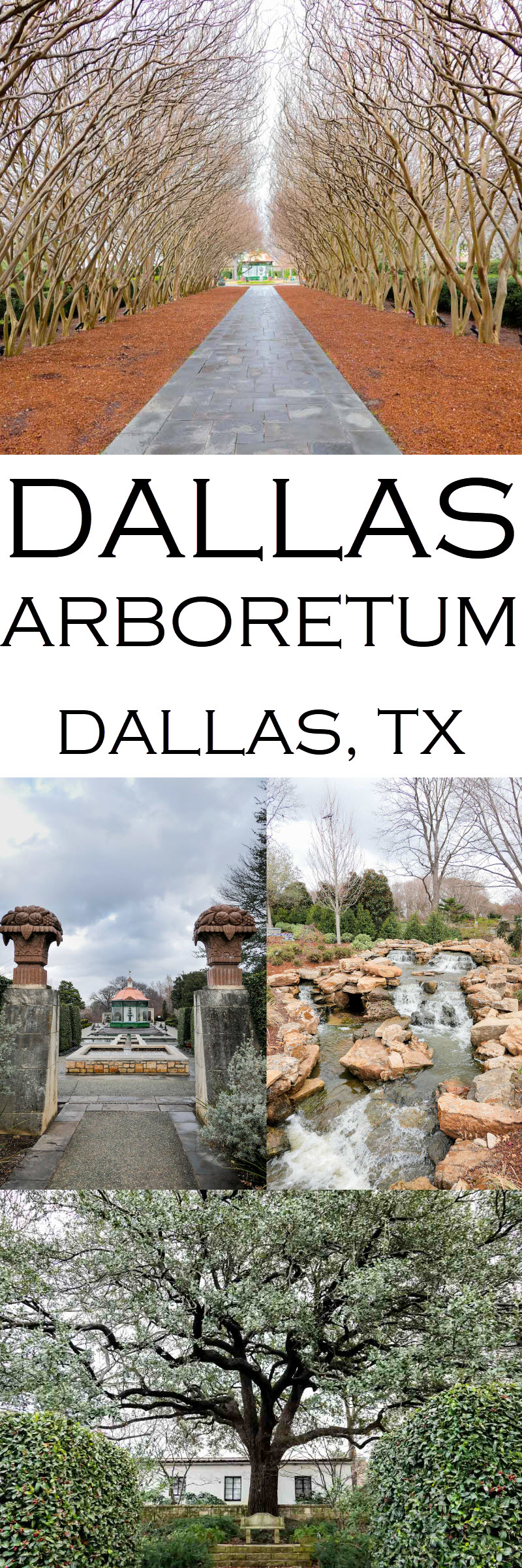 Dallas Arboretum + Botanical Gardens Photos + Review #lpworldtravels #texas #dallas #arboretums #botanicalgarden #travel #travelblog #travelblogger #travelwriter #travelguide