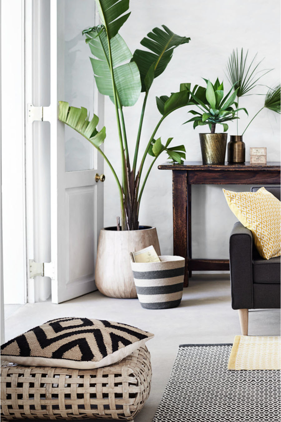 Indoor Plant Decor Ideas