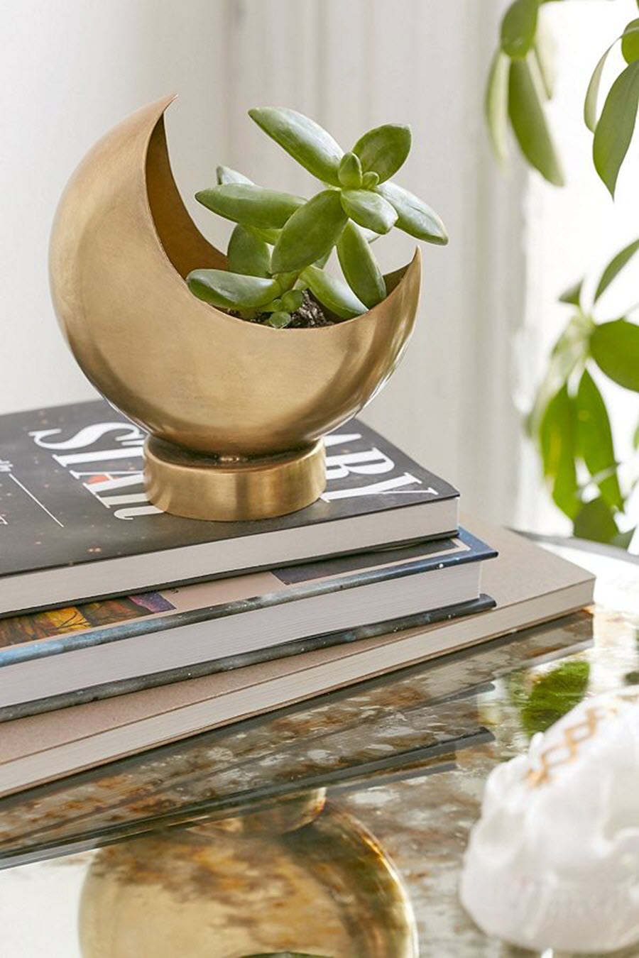 Indoor Plant Decor Ideas