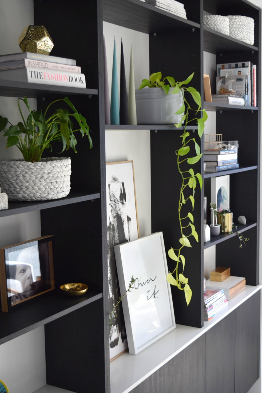 Indoor Plant Decor Ideas