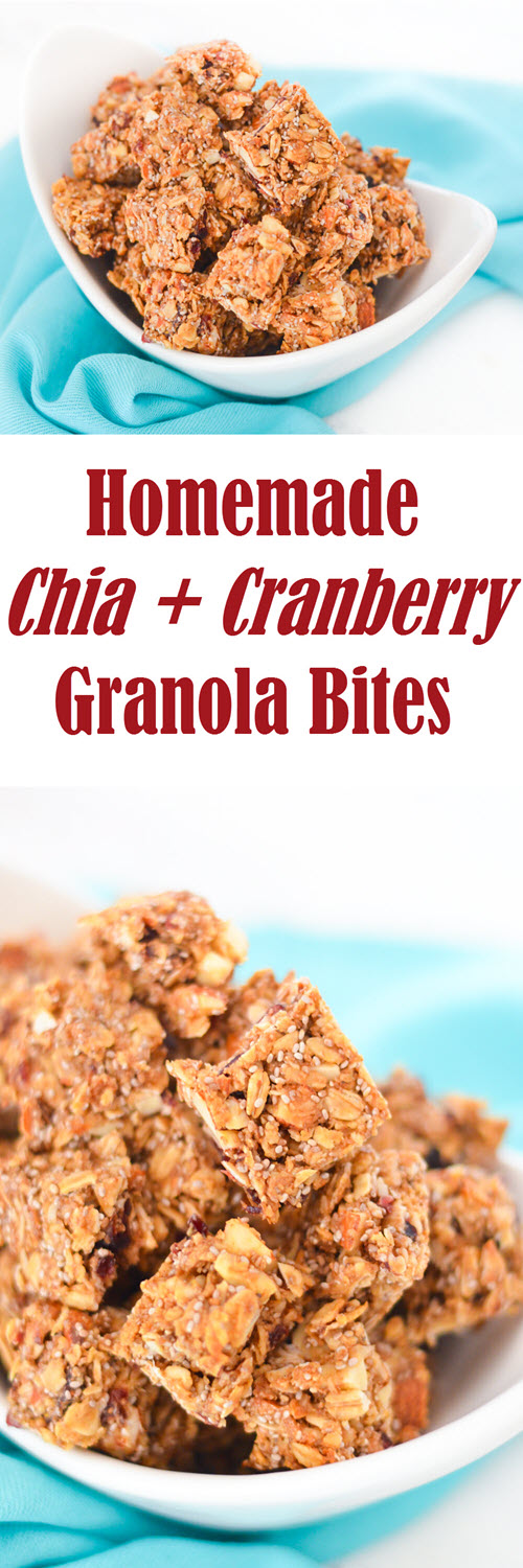 Chia Seed + Cranberry Granola Bites. Chia Seed + Cranberry Granola Bites. A healthy, homemade granola bit full of seeds and protein! A tasty morning and afternoon snack.