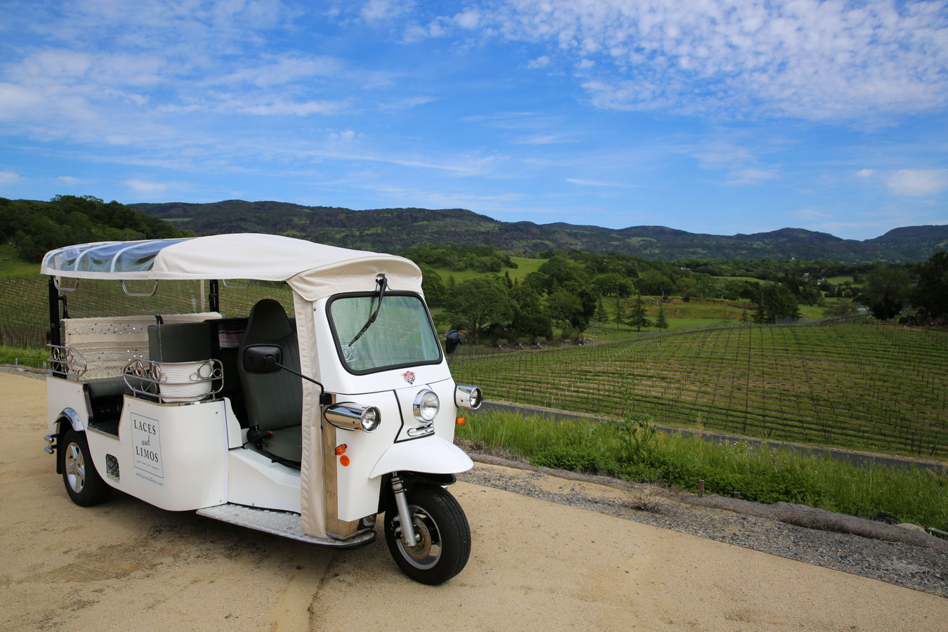 Best Napa Wine Tour - Laces & Limos Review