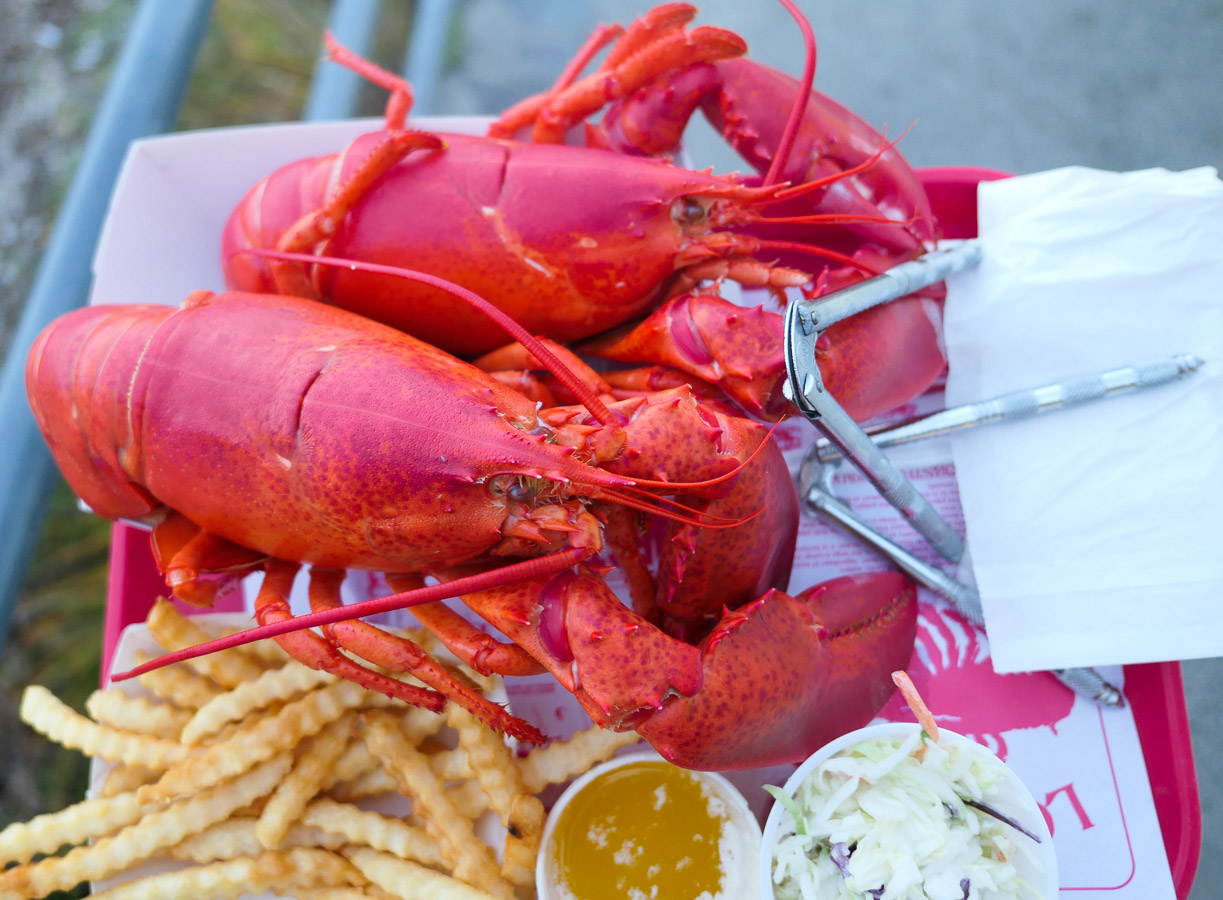 the Lobster Shack Restaurant in Cape Elizabeth