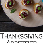 Brie Cranberry Appetizers - Crostini Thanksgiving Appetizer. This brie crostini recipe is easy and a fun way to get festive for a thanksgiving appetizer or a Christmas party appetizer. Recipe include directions for a fast, homemade cranberry sauce with red wine! #tahnskgiving #christmasparty #appetizer #crostini #brie #cranberrysauce #holidays