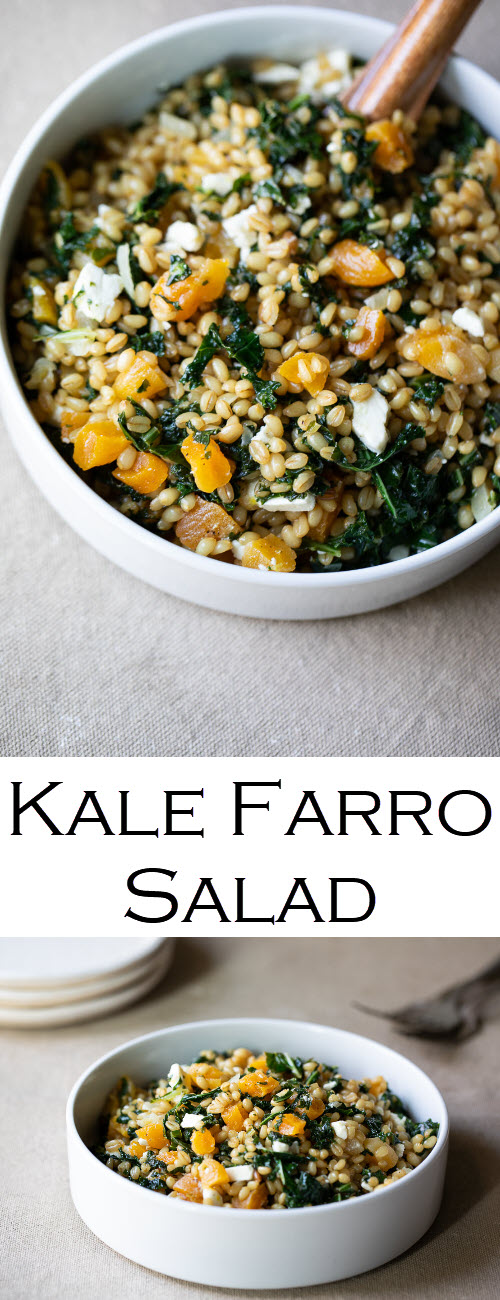 Kale Farro Salad Recipe. A delicious, healthy farro salad to enjoy warm or cold. A healthy, whole grain dinner recipe and a perfect make-ahead lunch idea, the <a href=