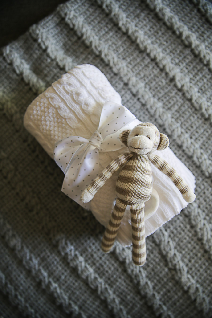 Stuffed Monkey on Blanket