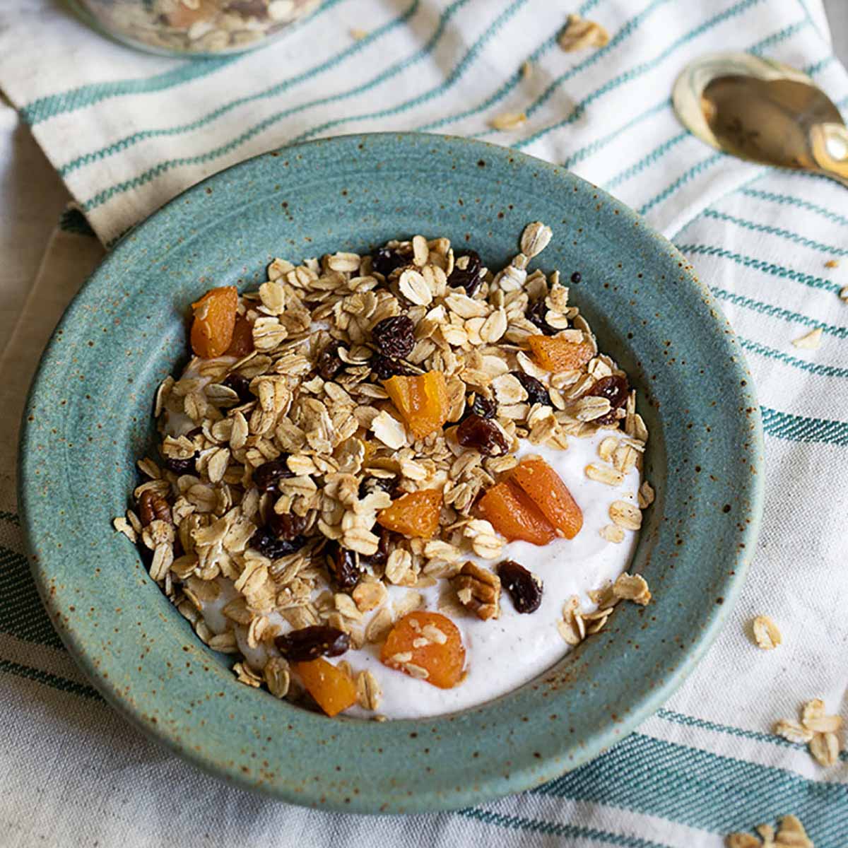 Toasted Muesli with Yogurt {Breakfast Ideas}