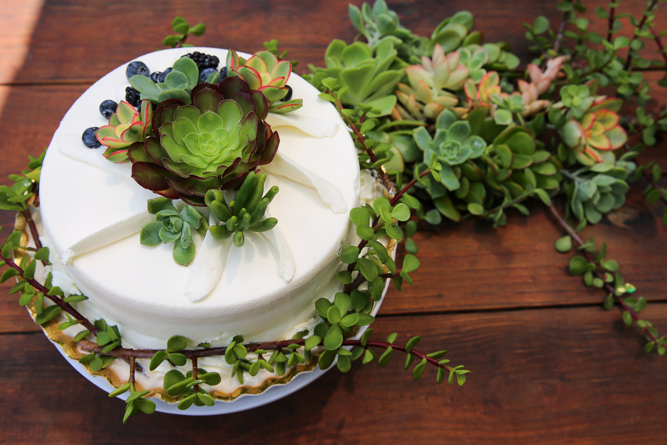 succulent cake decorations