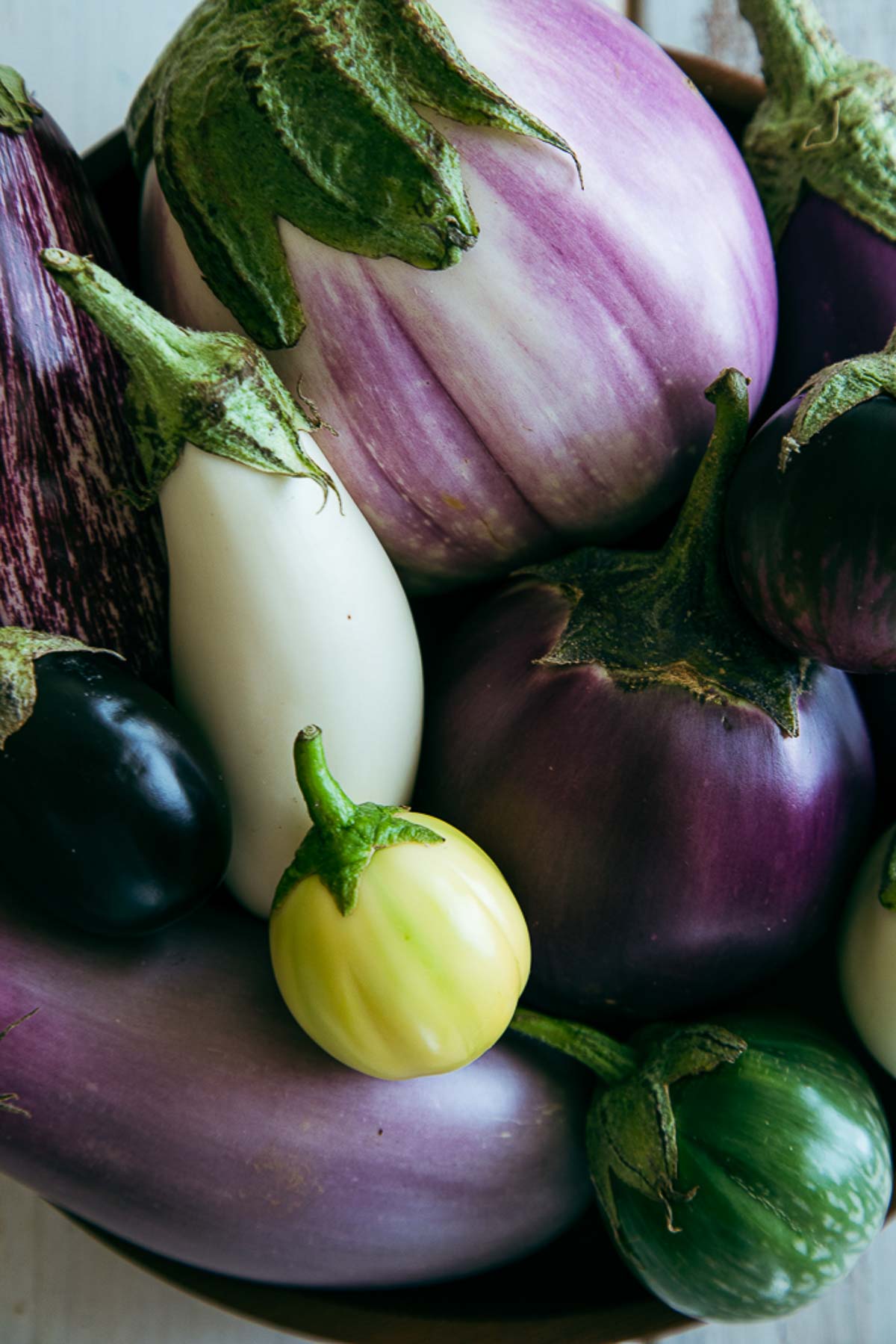 various eggplant - raw