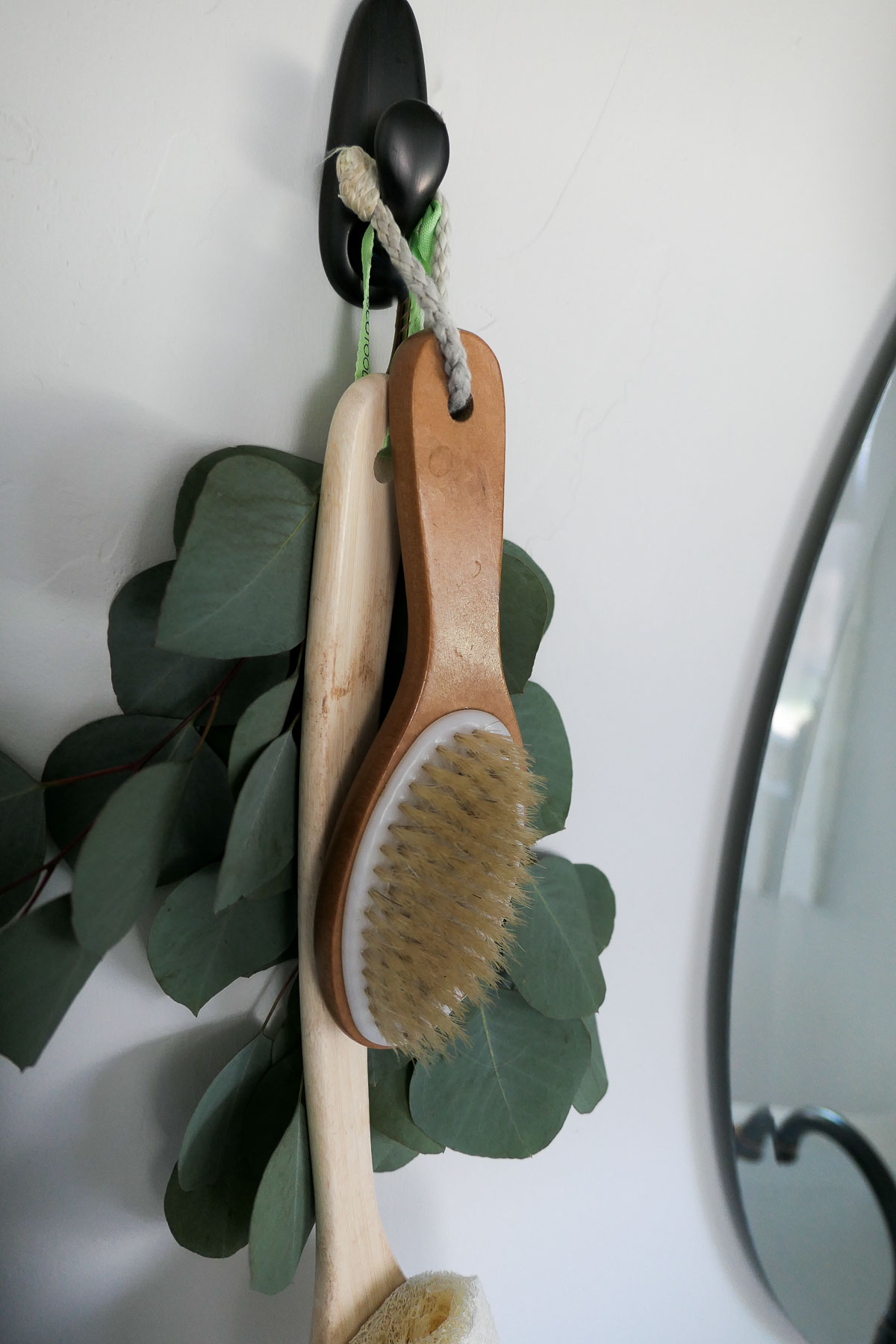 Beauty Body Tools - Dry Brushes Hanging from hook with greenery behind