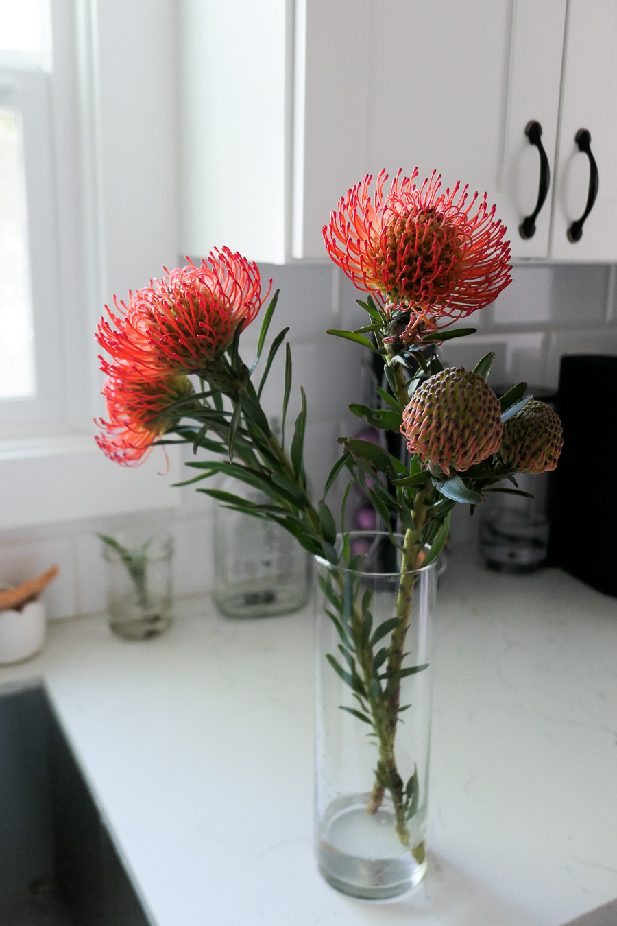 red pincushions in vase - sustainability guilt