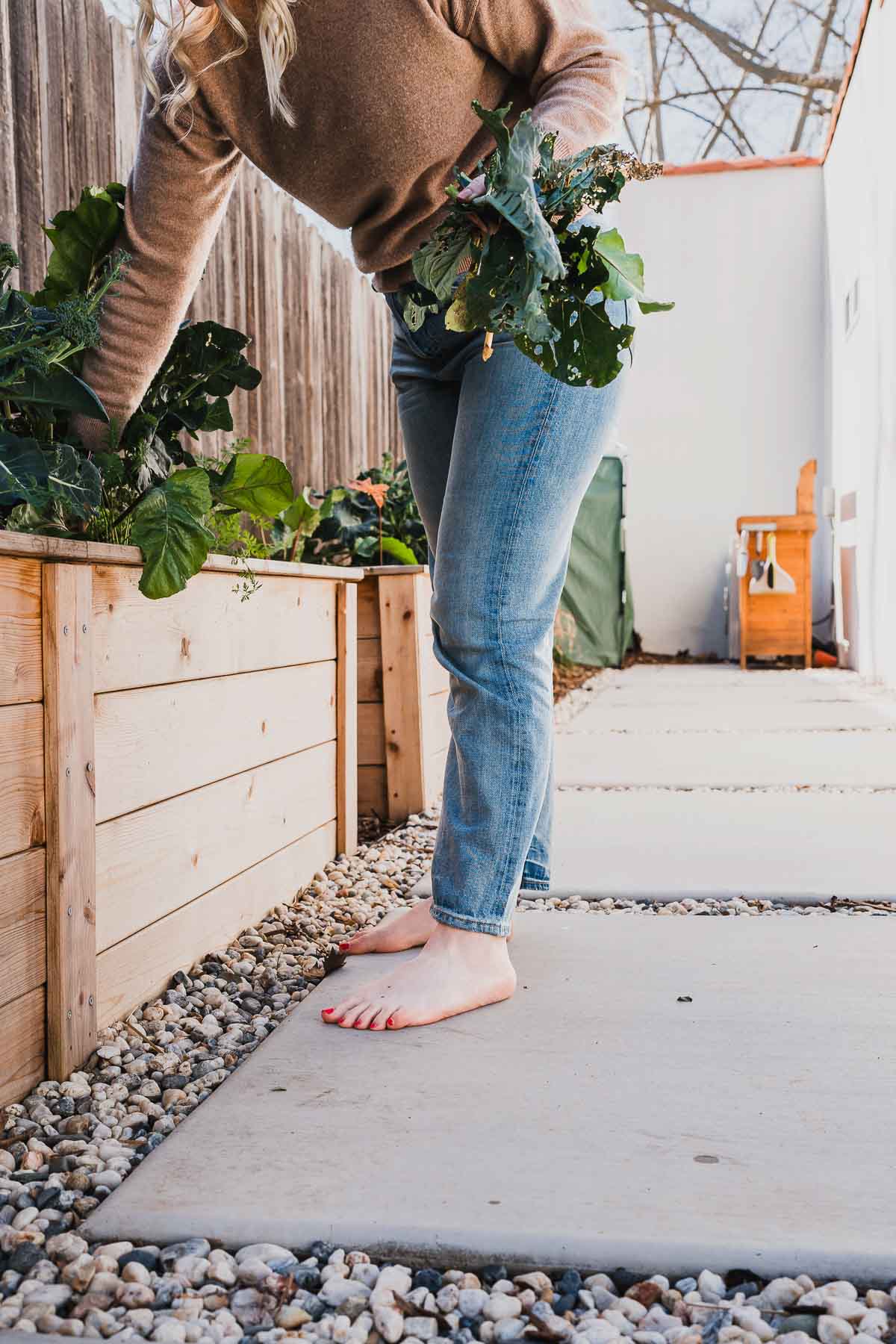 Best Gifts for Gardeners