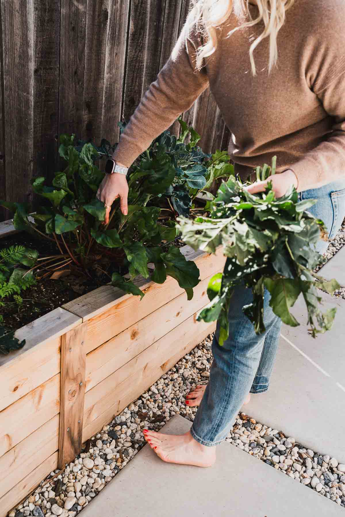 Best Gifts for Gardeners