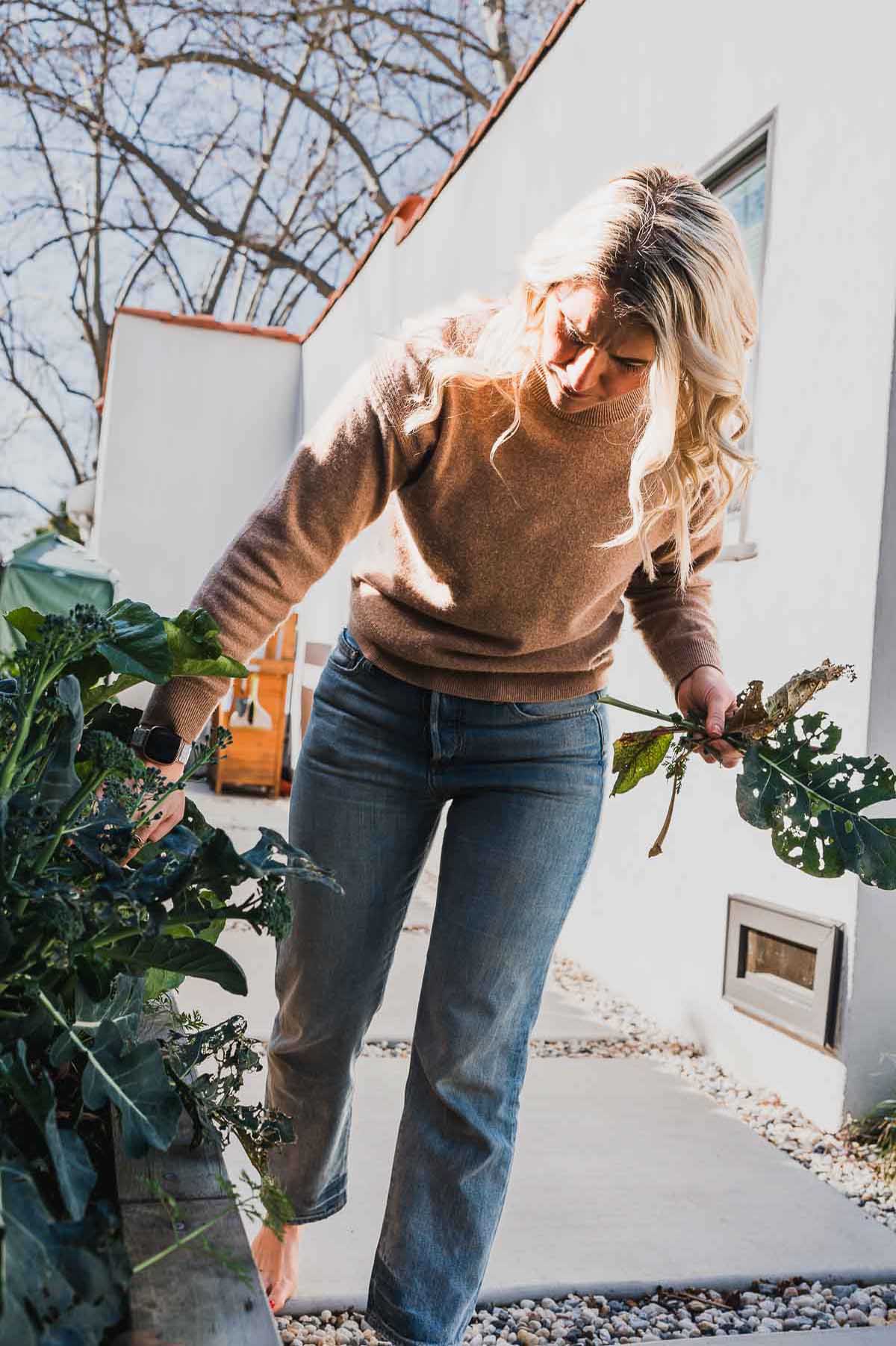 Best Gifts for Gardeners