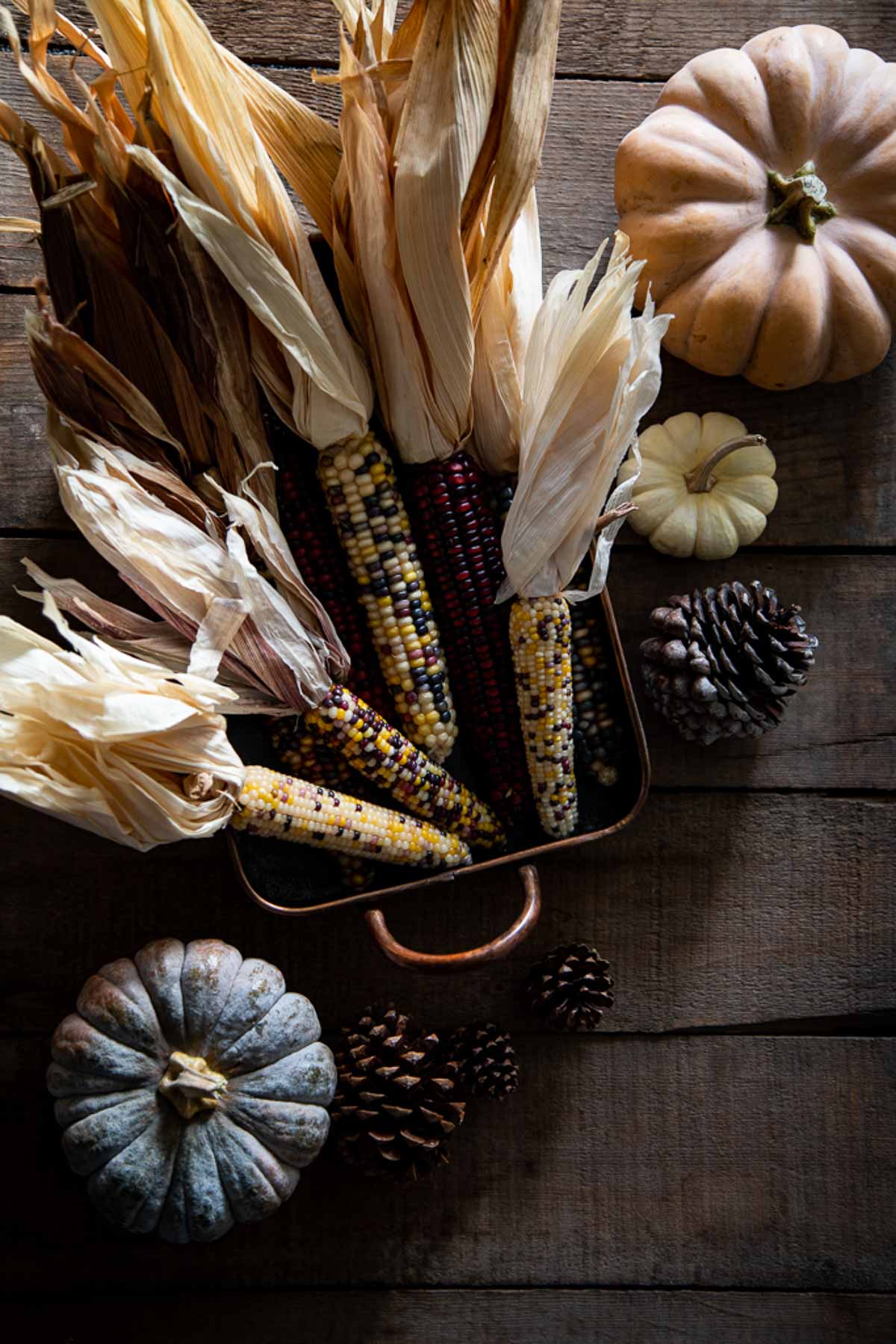 flint corn and mini pumpkins for fall