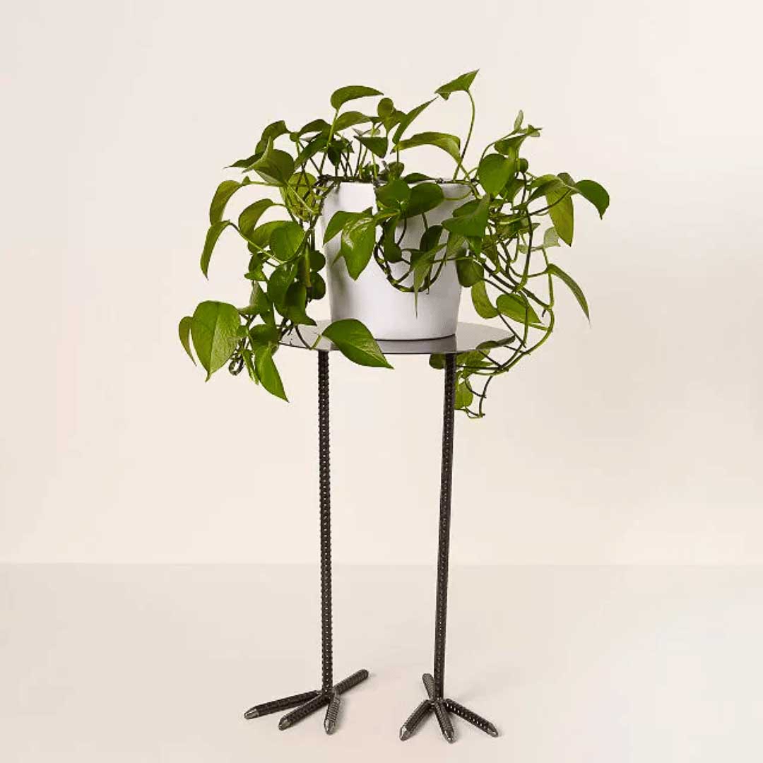 Bird Legs Plant Stand