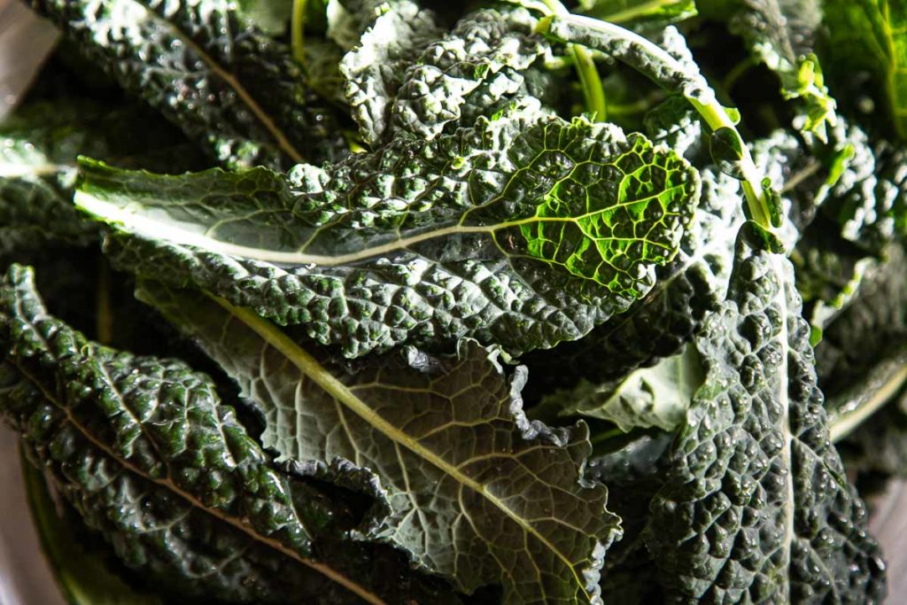 Winter Recipes & What's in Season - Kale