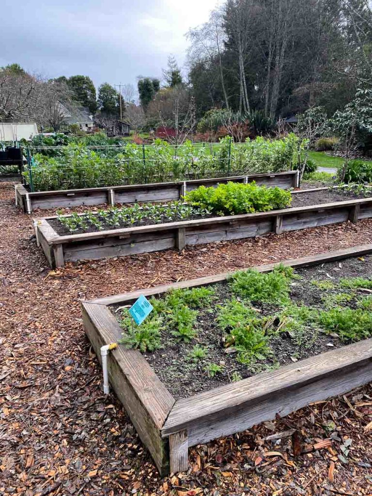 Mendocino Botanical Gardens - What to do with Kids in Mendocino