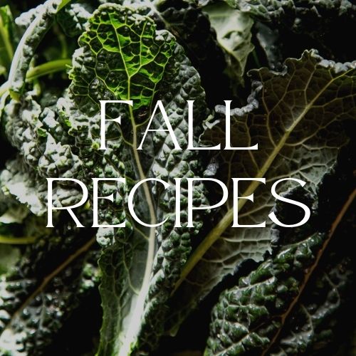 fall recipes