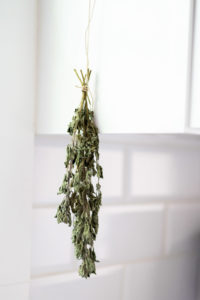 Hanging Herbs for Drying
