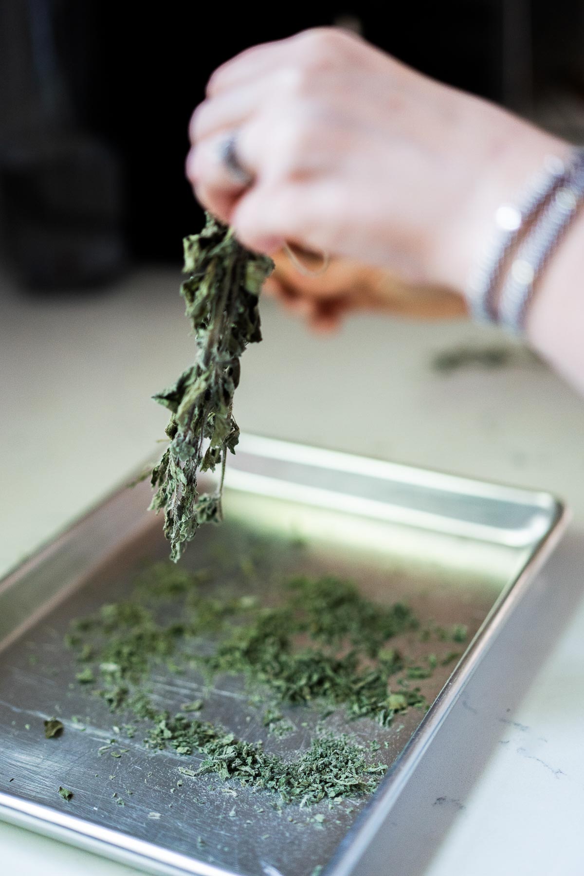 Dried Oregano Stem - How to Dry Fresh Herbs