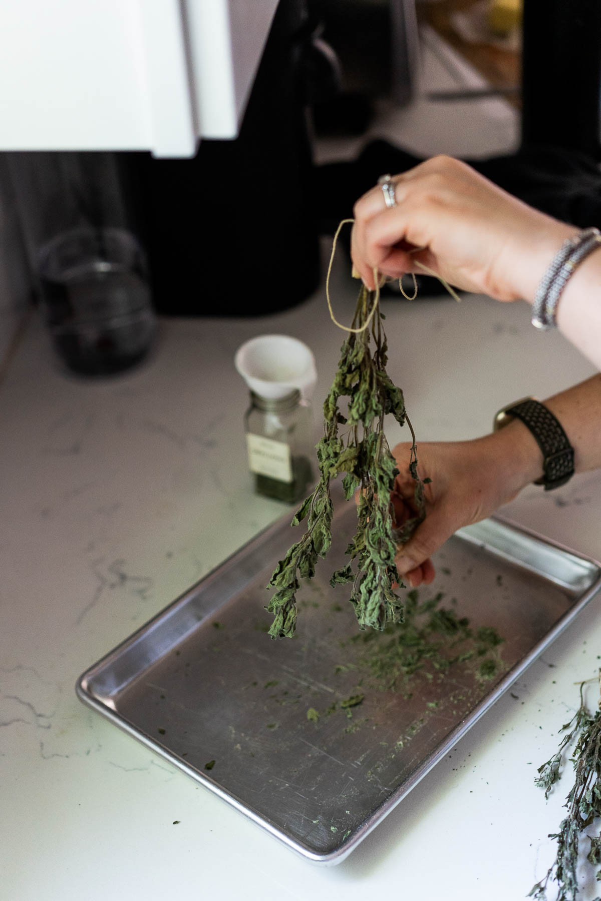 how to Dry Fresh Herbs