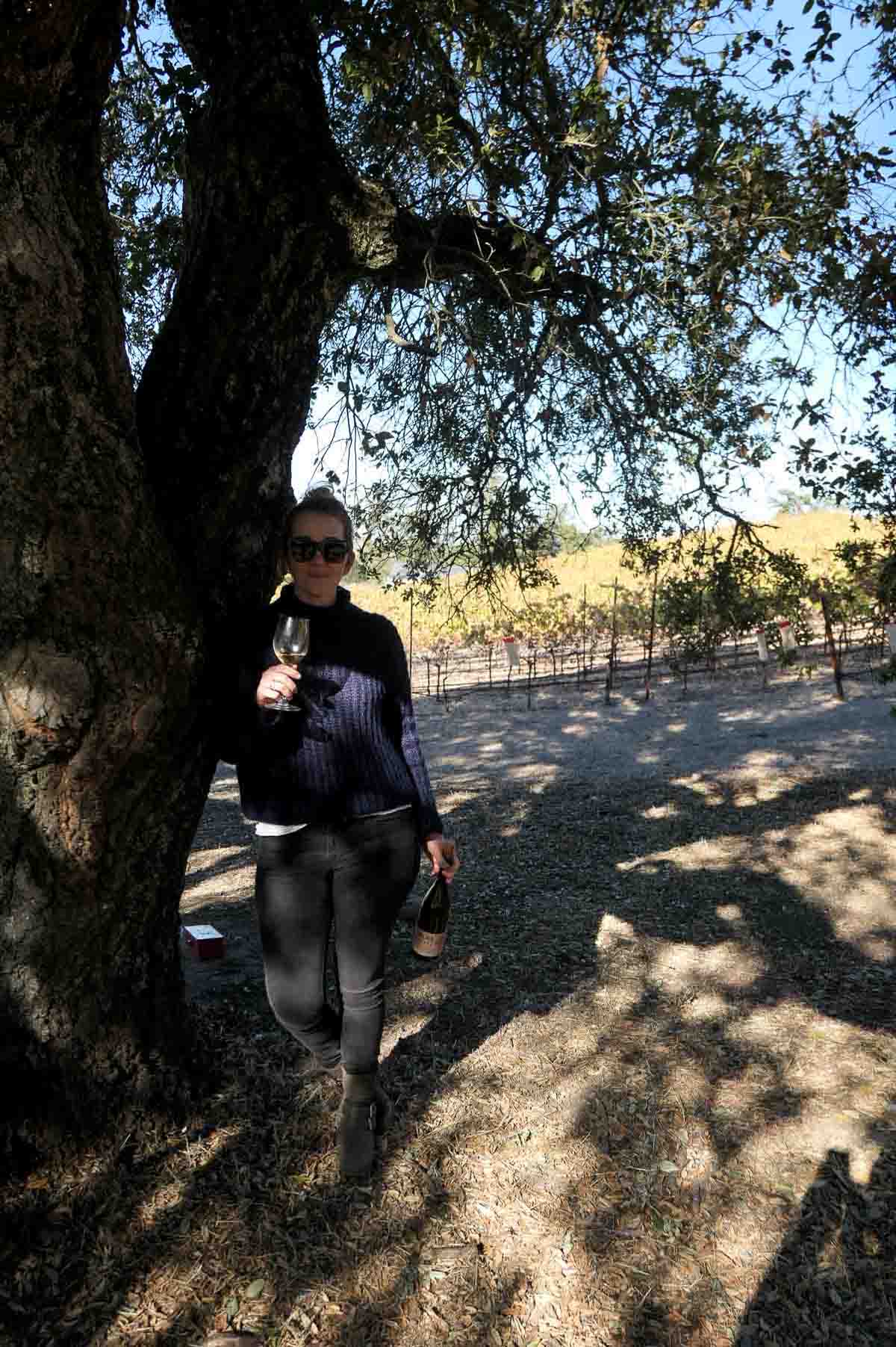 Best Winery near Santa Rosa