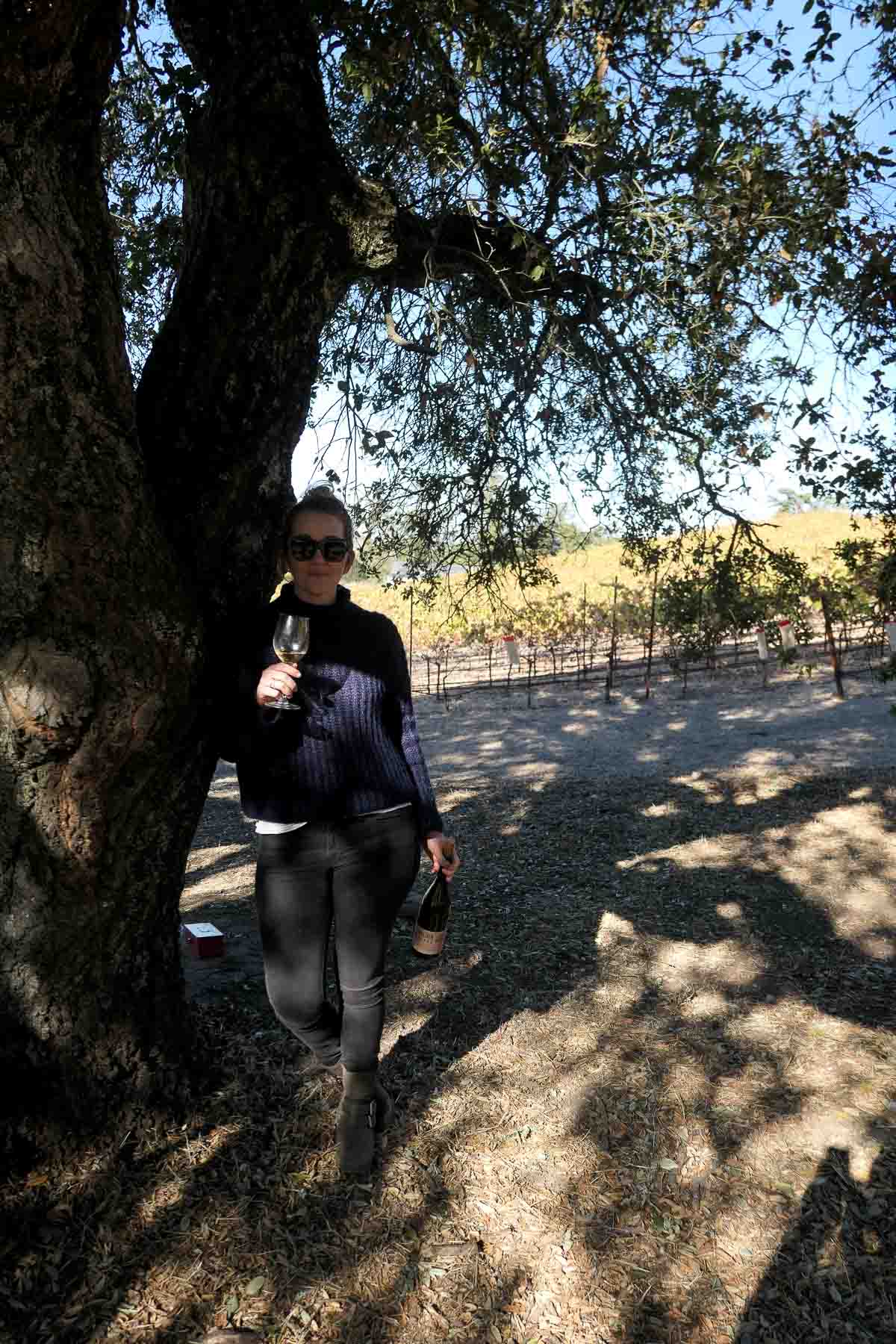 Luci leaning against tree at Belden Barns Winery