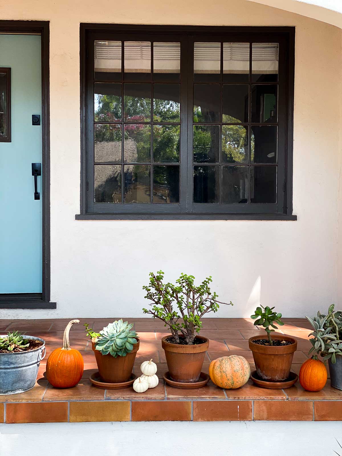 Pumpkin Succulent Decor