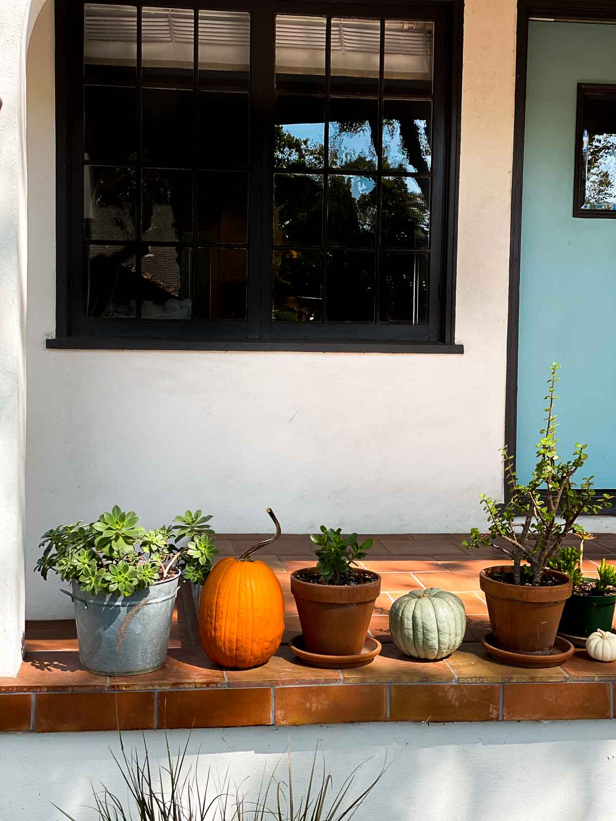 Pumpkin Succulent Decor