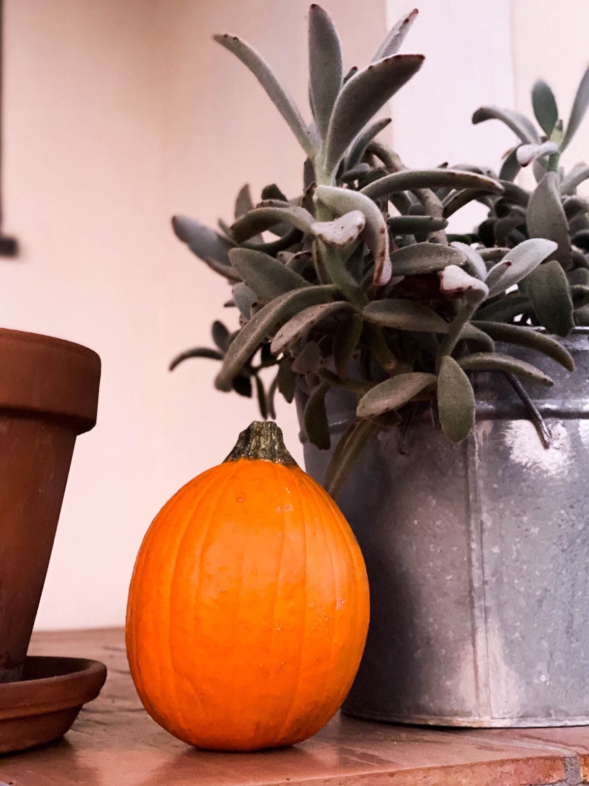 Natural Front Porch Halloween Decor