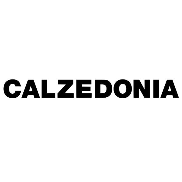 Calzedonia logo