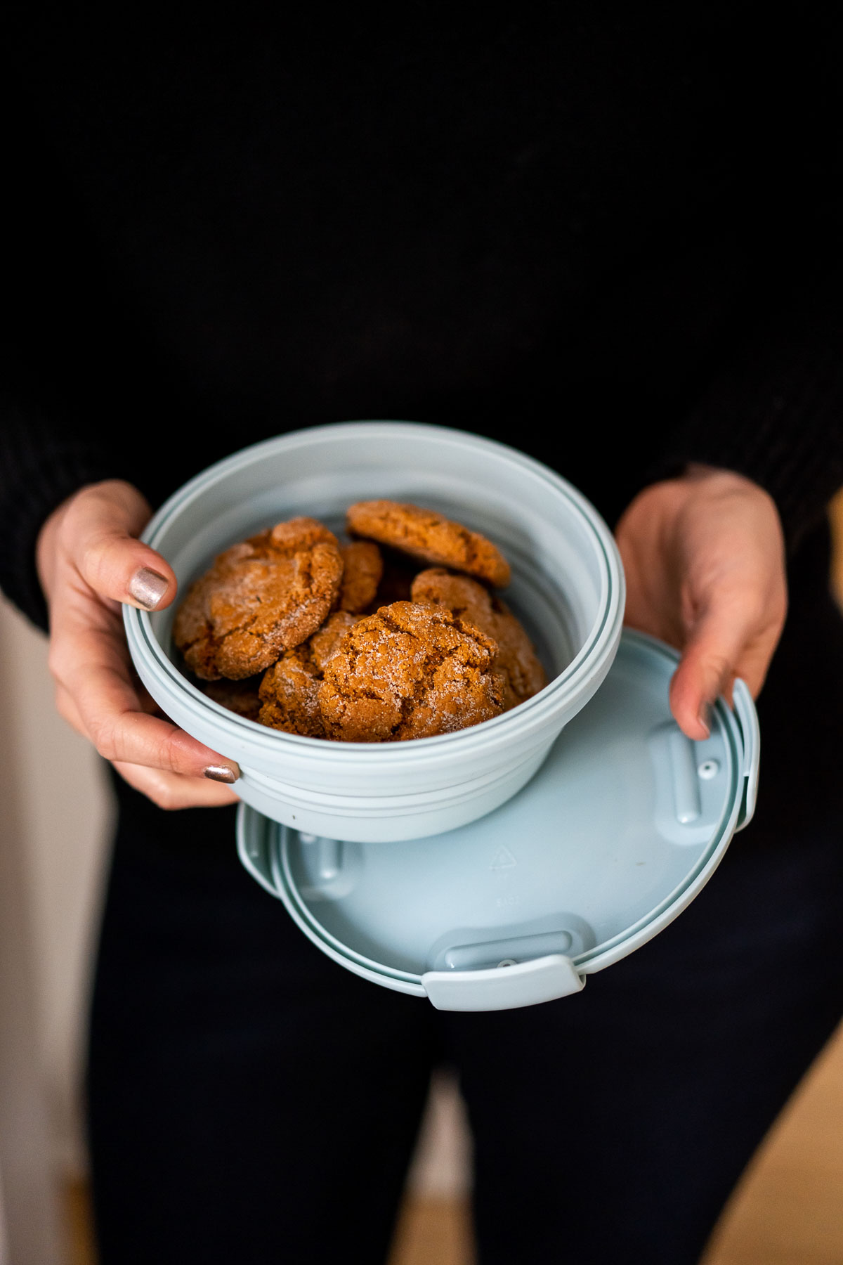 Reusable Collapsible Bowls With Lids - Silicone Meal Prep