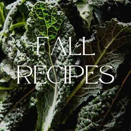 Fall Recipes