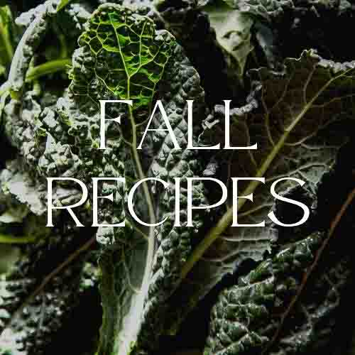fall recipes cover image