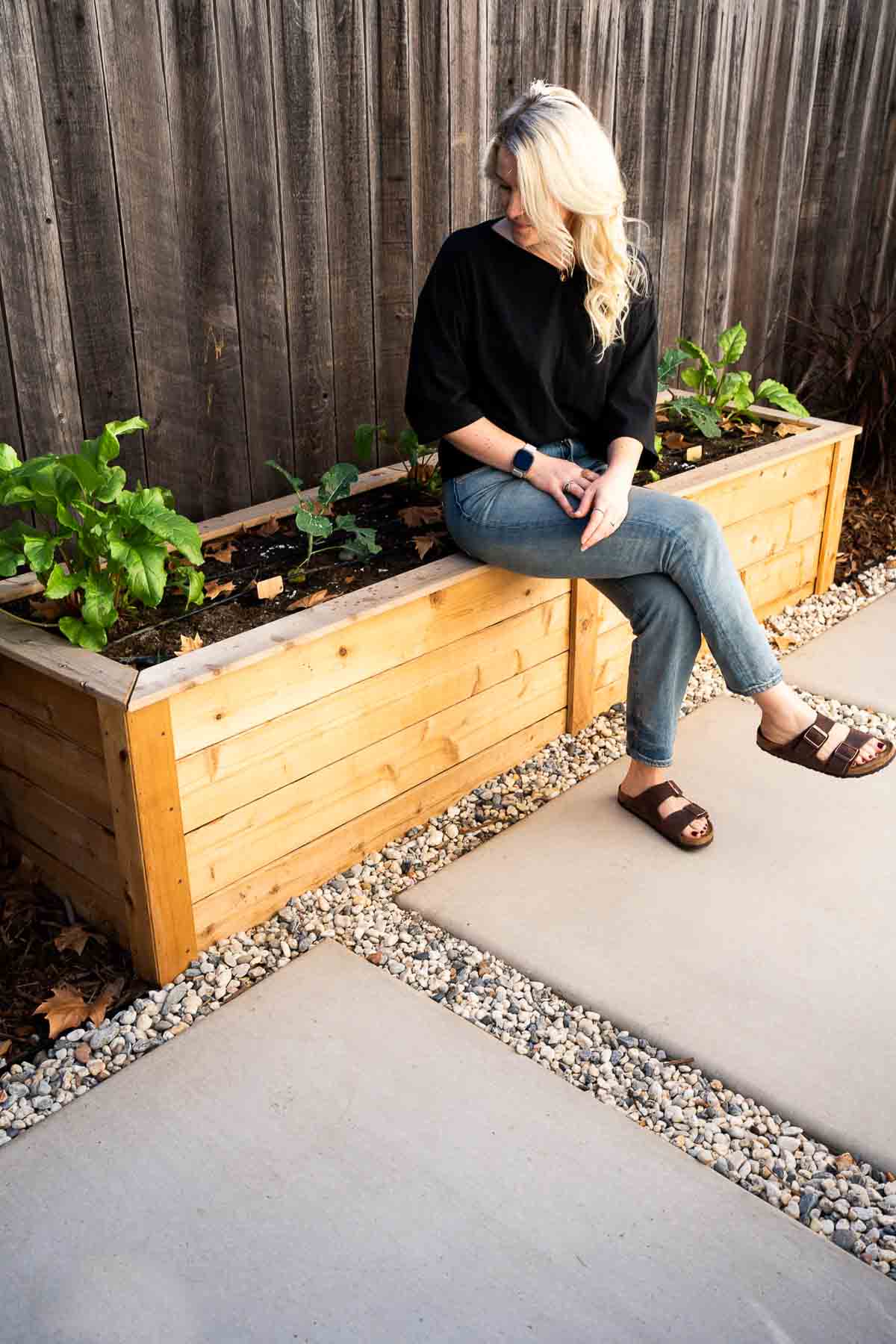 Eartheasy Cedar Garden Beds with plant starts