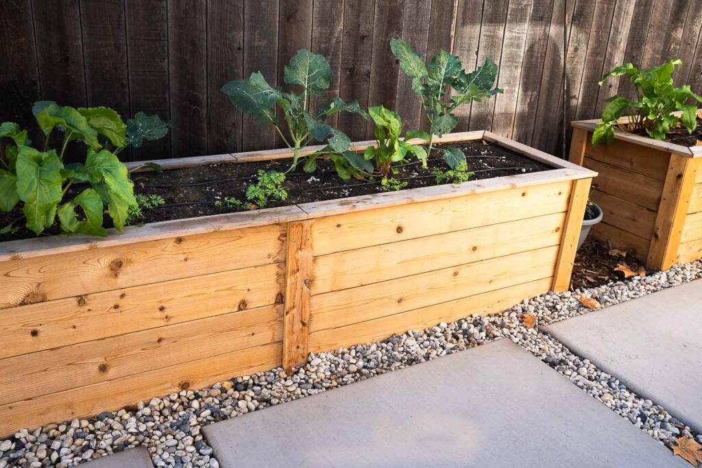 Cedar Garden Beds Review - Eartheasy Raised Beds